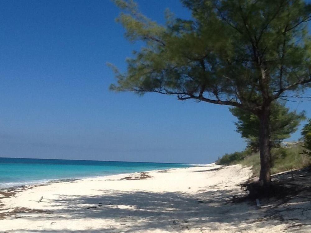 Oceanfrontier Hideaway Hotell Great Guana Cay Exteriör bild