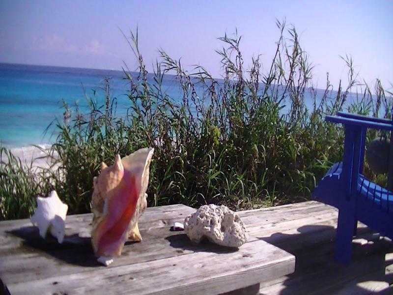 Oceanfrontier Hideaway Hotell Great Guana Cay Exteriör bild